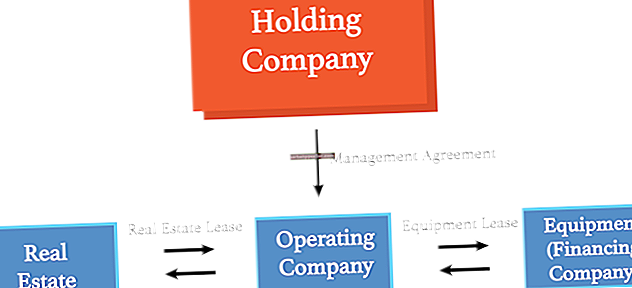 Која је разлика између матичне компаније и холдинг компаније?