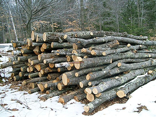 منافع کیلئے لکڑی فروخت کرنے کا طریقہ